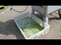 1.25KW Vegetable Processing Machine Micro Switch Single Head